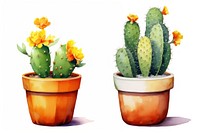 Cactus flower yellow plant. AI generated Image by rawpixel.