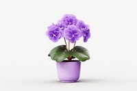 Flower purple violet plant. AI generated Image by rawpixel.