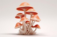 Fungus mushroom plant agaricaceae. AI generated Image by rawpixel.