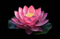 Flower petal plant lily. AI generated Image by rawpixel.