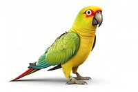 Parrot animal bird white background. AI generated Image by rawpixel.