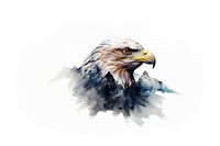 Animal eagle bird wildlife. AI generated Image by rawpixel.