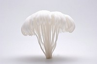 Mushroom fungus plant white. 