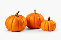 Pumpkin vegetable halloween plant. AI generated Image by rawpixel.