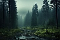 Wilderness outdoors nature forest. AI generated Image by rawpixel.