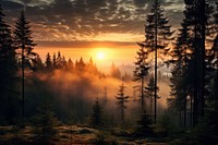 Sunset wilderness landscape sunlight. AI generated Image by rawpixel.