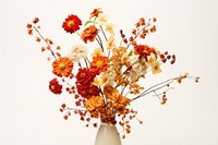 Fall flower bouquet plant petal white. 