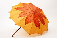 Umbrella leaf pattern maple. 