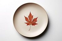 Fall season special dish plate plant leaf. 