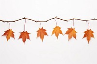 Maple leaves branch plant leaf tree. AI generated Image by rawpixel.