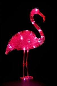 Flamingo animal light bird. 