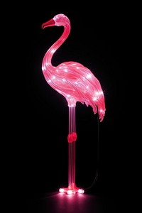 Flamingo animal light bird. 