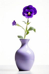 Vase flower violet plant. 