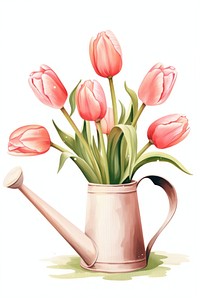 Tulips flower plant pink. 