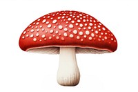 Mushroom agaric fungus red. 