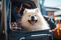 Dog mammal animal travel. AI generated Image by rawpixel.