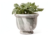 Flowerpot plant vase leaf. AI generated Image by rawpixel.