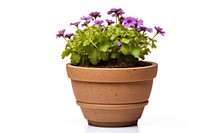 Flower flowerpot gardening plant. AI generated Image by rawpixel.