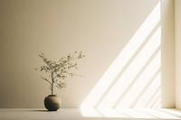 Windowsill flower light plant. AI generated Image by rawpixel.