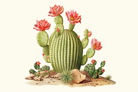 Astrophytum myriostigma cactus plant freshness outdoors. AI generated Image by rawpixel.