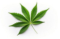 Leaf cannabis plant herbs. AI generated Image by rawpixel.