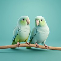 Parrot animal bird budgerigar. AI generated Image by rawpixel.