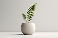 Plant vase leaf fern. 