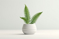 Plant fern leaf vase. 