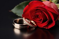 Ring rose jewelry diamond. AI generated Image by rawpixel.