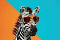 Sunglasses zebra wildlife animal. 