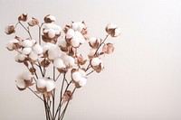 Flower cotton plant white. AI generated Image by rawpixel.