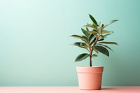 Plant bonsai leaf pot. AI generated Image by rawpixel.