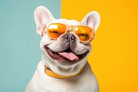 Sunglasses dog bulldog animal. 