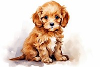 Puppy cavapoo spaniel mammal. 