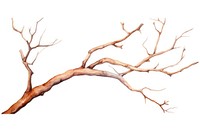 Drawing branch sketch plant. AI generated Image by rawpixel.