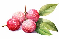 Raspberry fruit plant food. AI generated Image by rawpixel.