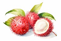 Fruit durian plant food. AI generated Image by rawpixel.