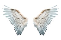 Flying white bird wing. AI generated Image by rawpixel.