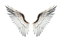 Flying white wing bird. AI generated Image by rawpixel.