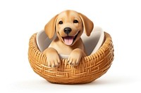 Basket puppy pet retriever. 