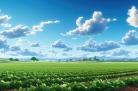 Field sky agriculture landscape. 