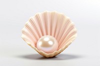 Sea shell pearl seashell jewelry. 