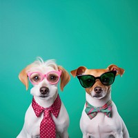 Glasses dog sunglasses portrait. AI generated Image by rawpixel.