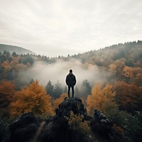 Forest fog wilderness landscape. 