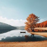 Autumn landscape outdoors nature. 