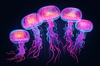 Jellyfish invertebrate illuminated translucent. 