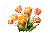 Tulip flower plant white background. AI generated Image by rawpixel.