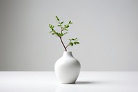 Vase porcelain plant white. 