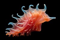 Sea animal nature fish. AI generated Image by rawpixel.