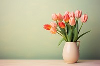 Tulip vase flower plant. 